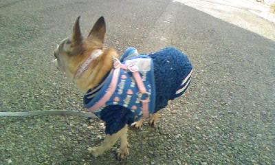 c0150520_263554.jpg