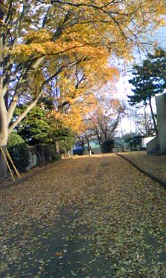 c0150520_27947.jpg