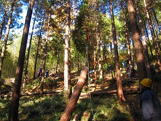 e0002820_18395128.jpg