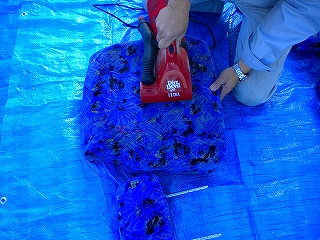 e0091220_11435642.jpg