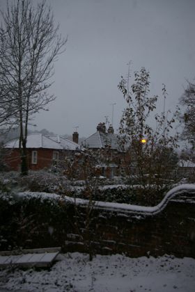 e0114020_7294483.jpg