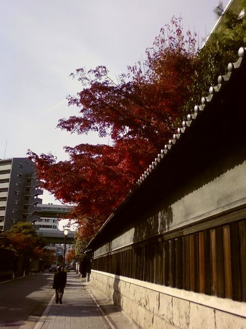 a0021421_12142462.jpg