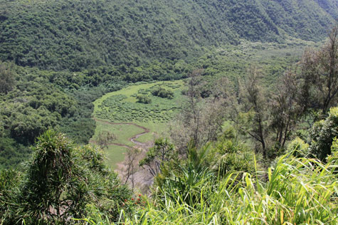 f0137324_22111392.jpg