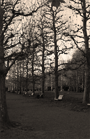 e0205625_23233325.gif