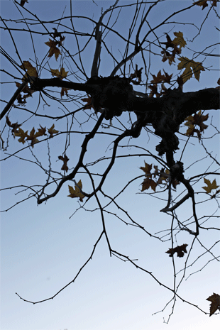 e0205625_23313350.gif