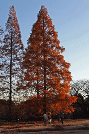 e0205625_23315735.gif