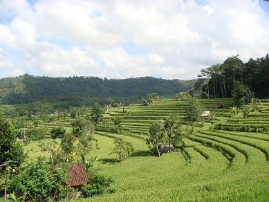a0120328_2350106.jpg