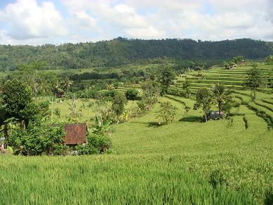 a0120328_2351570.jpg
