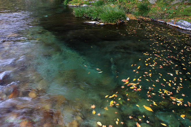 e0083238_21274641.jpg