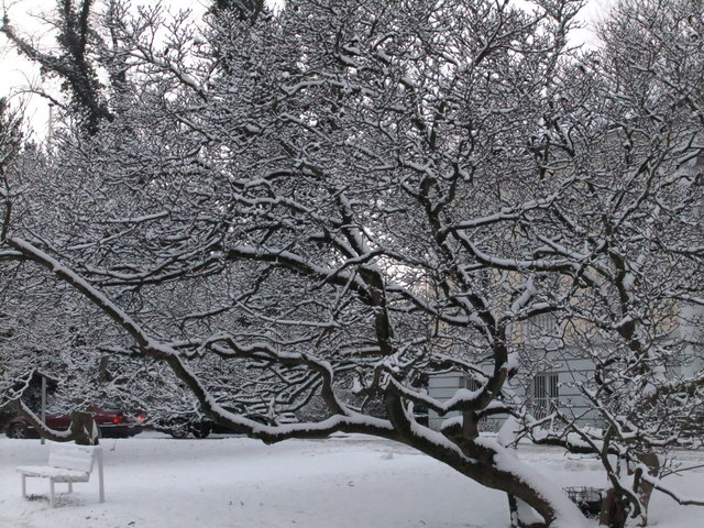f0210340_429265.jpg