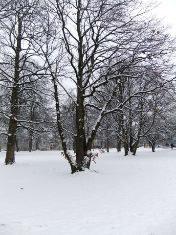 f0210340_4322248.jpg