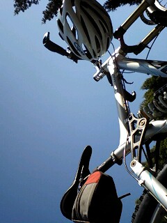 c0059543_1785358.jpg