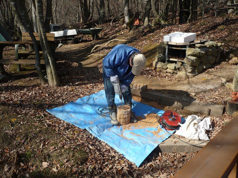f0090444_21224992.jpg
