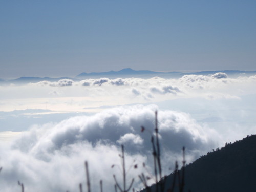 c0179351_21511076.jpg