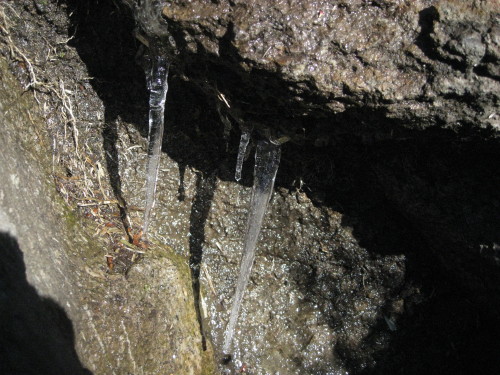 c0179351_21541778.jpg
