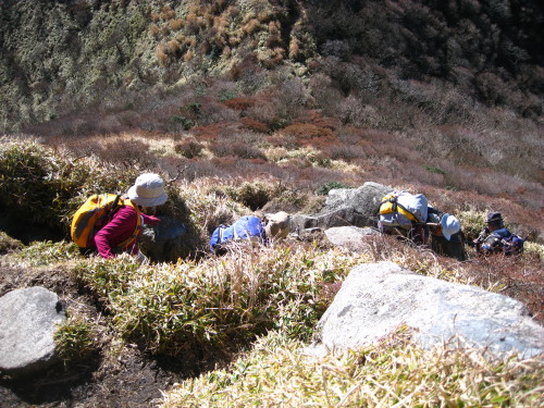 c0179351_21561761.jpg