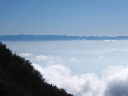 c0179351_229971.jpg