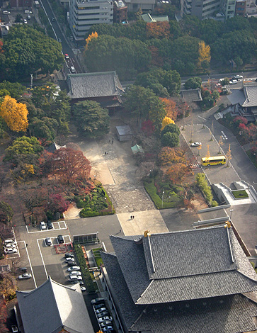a0001354_2325713.jpg