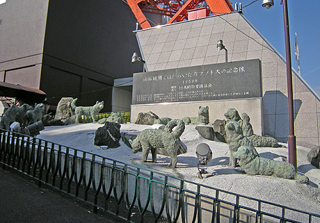 a0001354_2336597.jpg