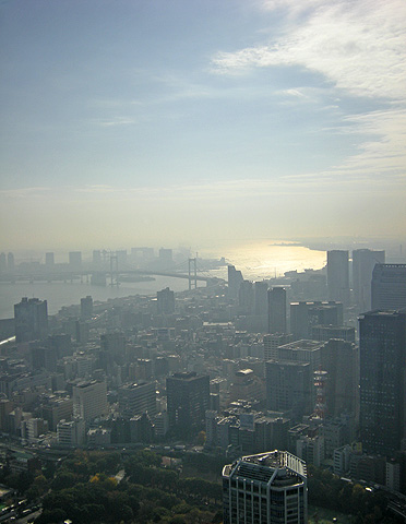 a0001354_23434197.jpg