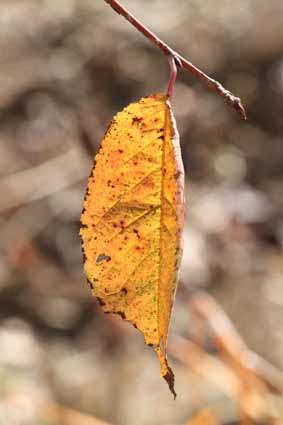 f0062055_9431214.jpg