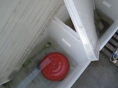 d0158258_819251.jpg