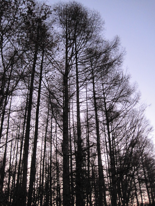 f0236260_235558100.jpg