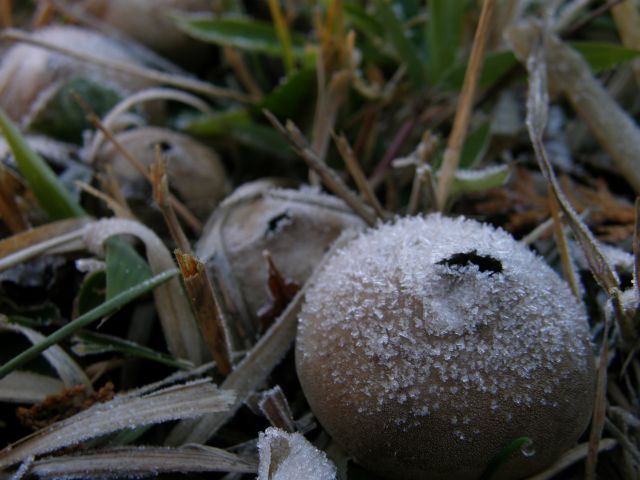 c0042869_19793.jpg