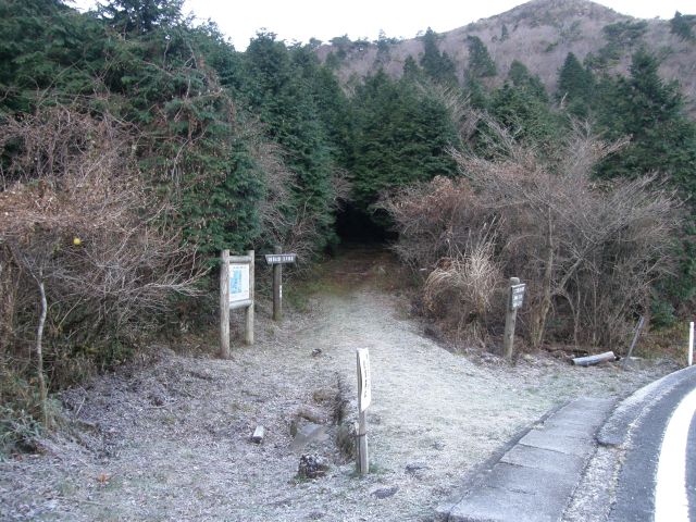 c0042869_1995233.jpg
