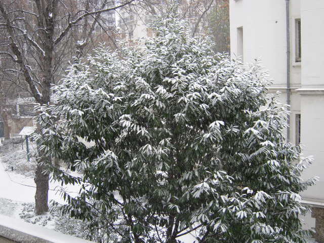 b0169771_2010543.jpg