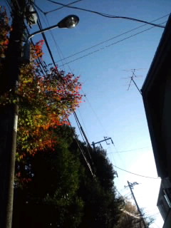 c0110074_1425846.jpg