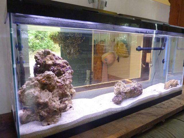 c0080075_23445737.jpg