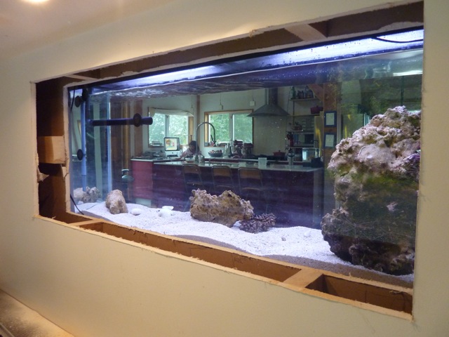c0080075_23453255.jpg