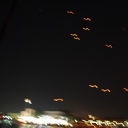 b0086476_17393255.jpg