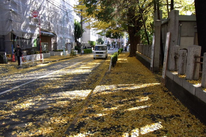c0192077_15385662.jpg