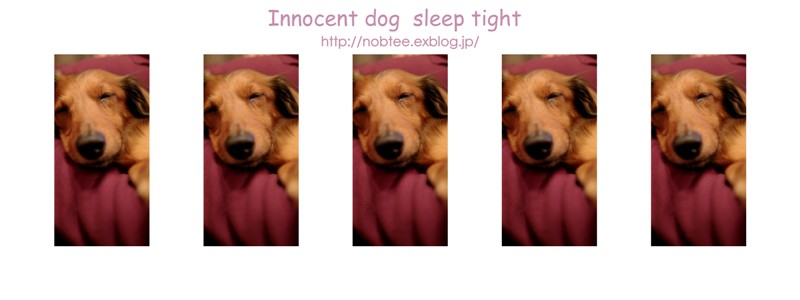 無垢な犬ほどよく眠る : 星一徹は語る