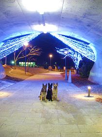 e0100584_22583226.jpg