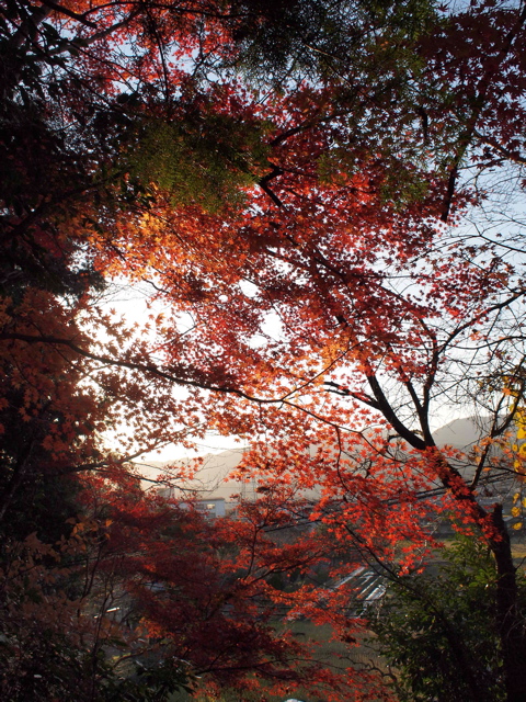 b0143293_13522757.jpg