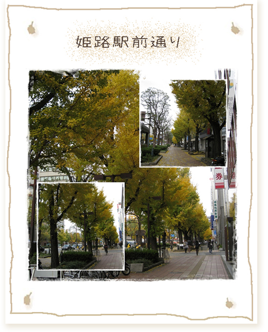 c0121496_854829.jpg