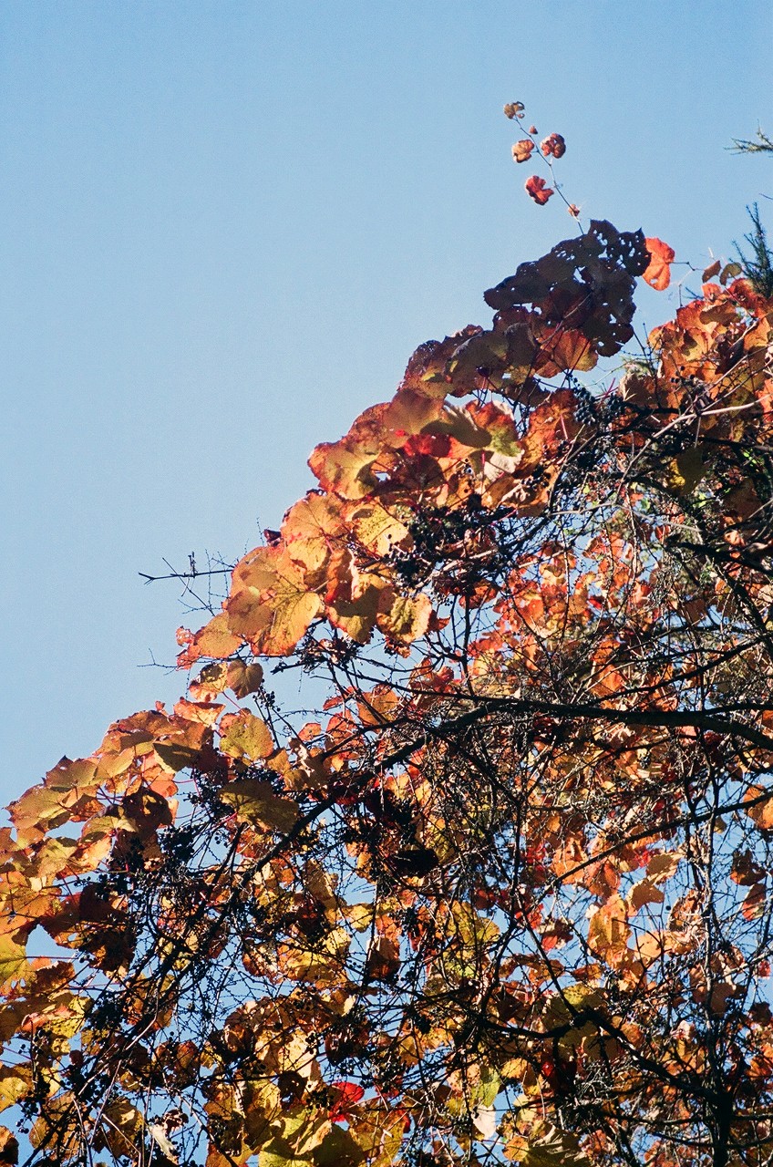 f0220698_23201894.jpg