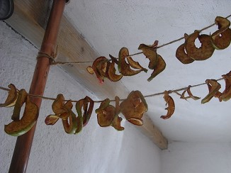 b0110999_23251158.jpg