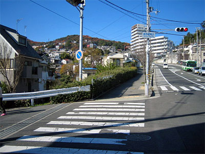 b0108100_2020235.jpg