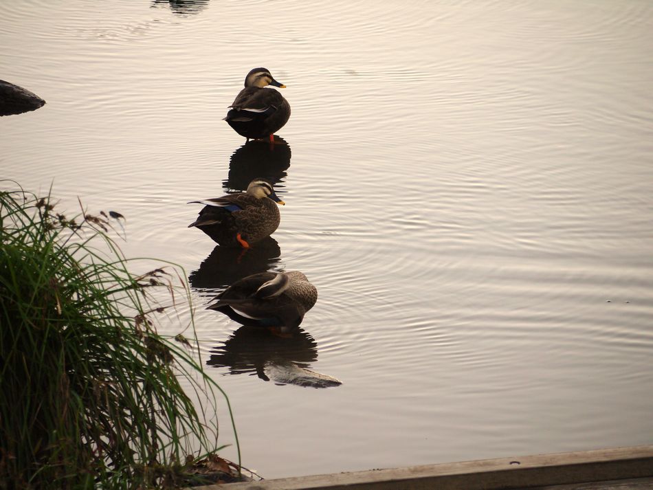 c0187503_233938.jpg