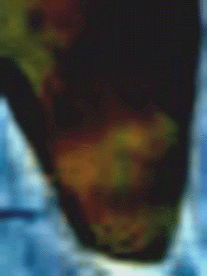 e0103408_1174247.gif