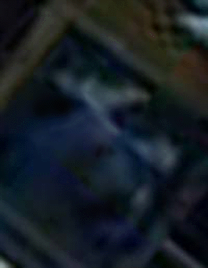 e0103408_119576.gif
