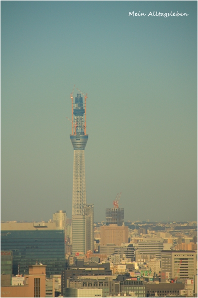 c0186410_77278.jpg