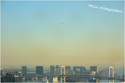 c0186410_782352.jpg