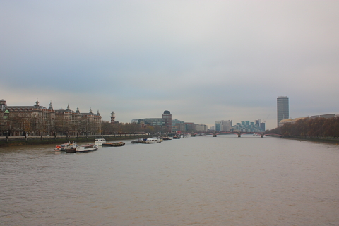 d0077811_2331531.jpg