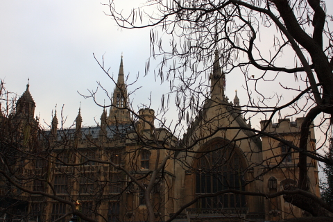 d0077811_2333832.jpg