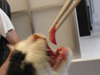 c0201113_21134064.jpg